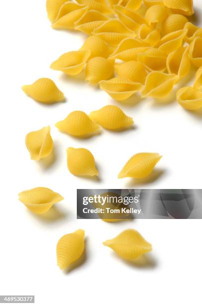 Conchiglie shells pasta closeup on white, 2011.