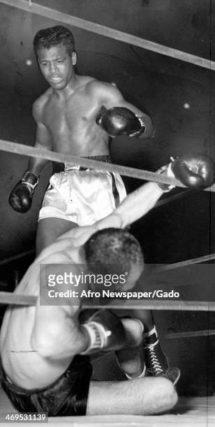 Boxing champion Sugar Ray Robinson flooring Boston's Joey Rindone at the Boston Garden, Boston, Massachusetts, October 16, 1950.