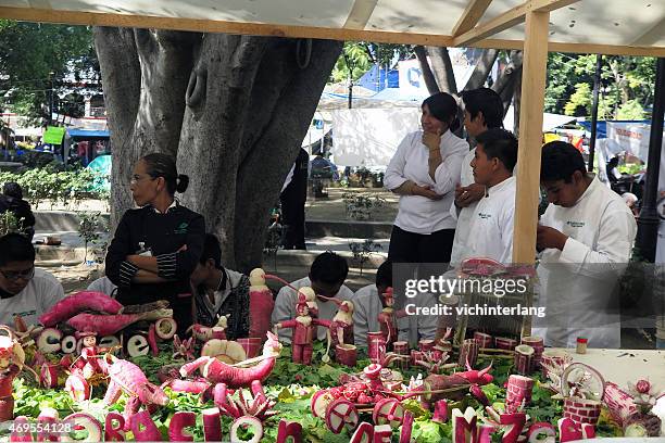 oaxaca, messico, natale 2014 - oaxaca foto e immagini stock