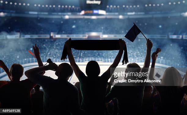 silhouette of hockey fans at a stadium - hockey season celebration stock pictures, royalty-free photos & images