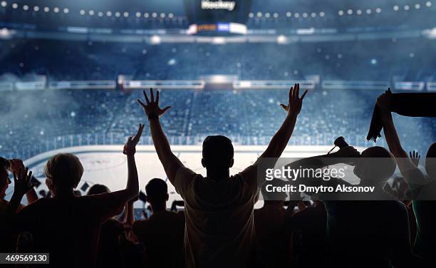 fanatical hockey fans at a stadium - ice hockey stockfoto's en -beelden