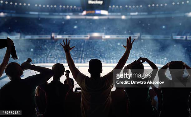 hockey fans at stadium - ice hockey stockfoto's en -beelden