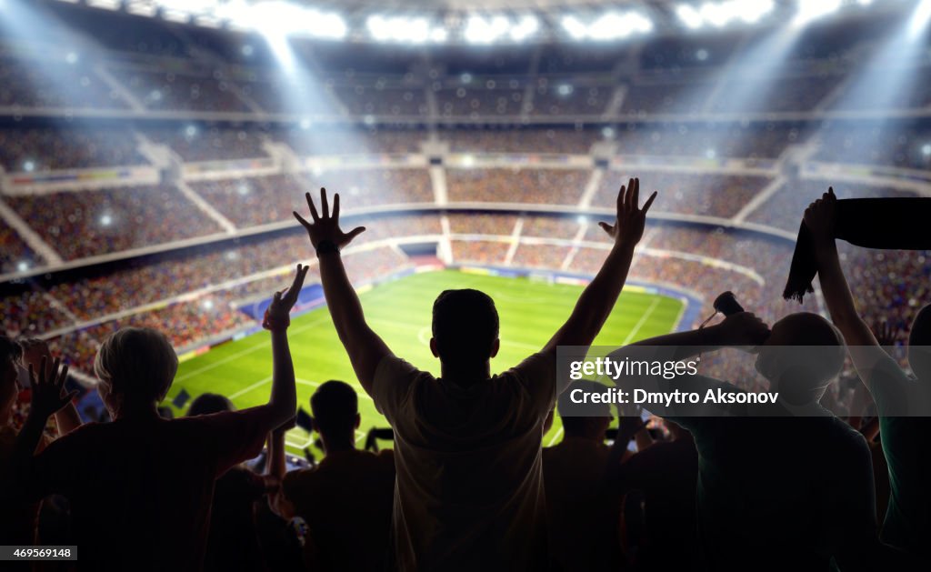 Soccer fans at stadium