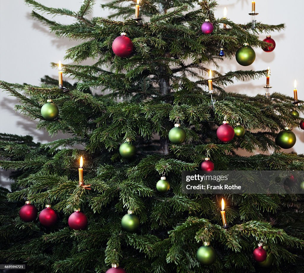 Nicely decorated christmas tree at home