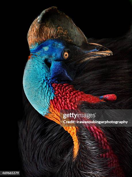 Colorburst, Foto de stock
