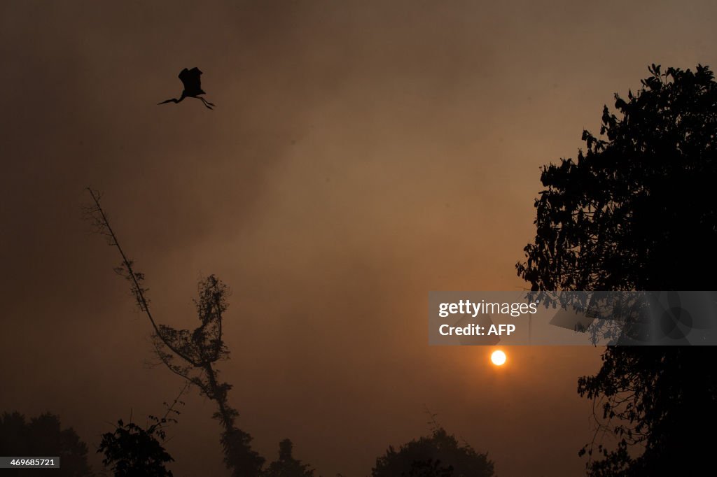 INDONESIA-US-DIPLOMACY-ENVIRONMENT-CLIMATE