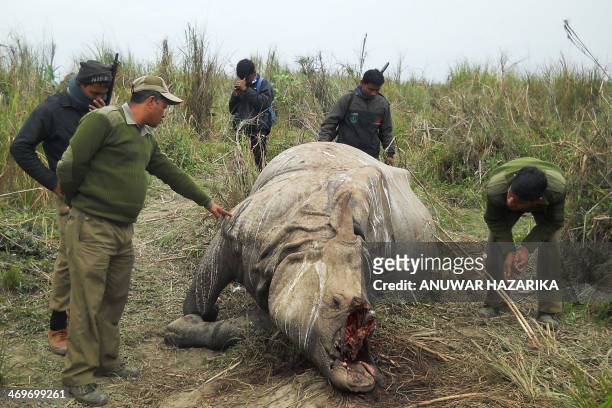 Indian forestry officials stand near the carcass of a one-horned rhinoceros which was killed and de-horned by poachers in the Kahora range of...