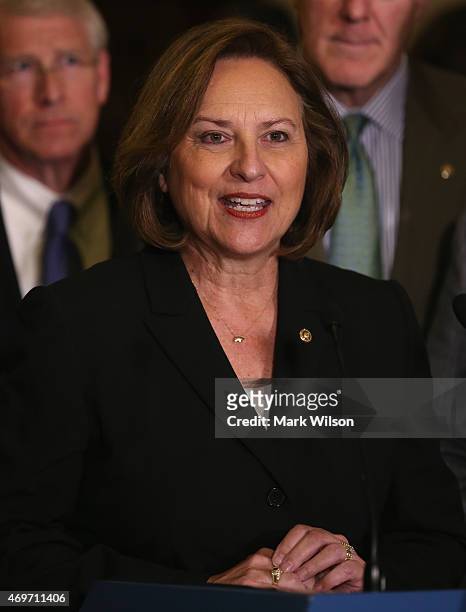 Sen. Deb Fischer speaks to the media during a news conference at the U.S. Capitol April 14, 2015 on Capitol Hill in Washington, DC. Both Senate...