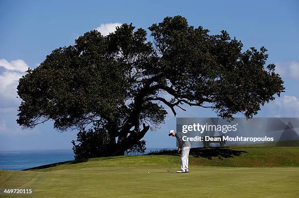 Ulrich van den Berg of South Africa putts on the 12th green during the Final Round of the Africa Open at East London Golf Club on February 16, 2014...