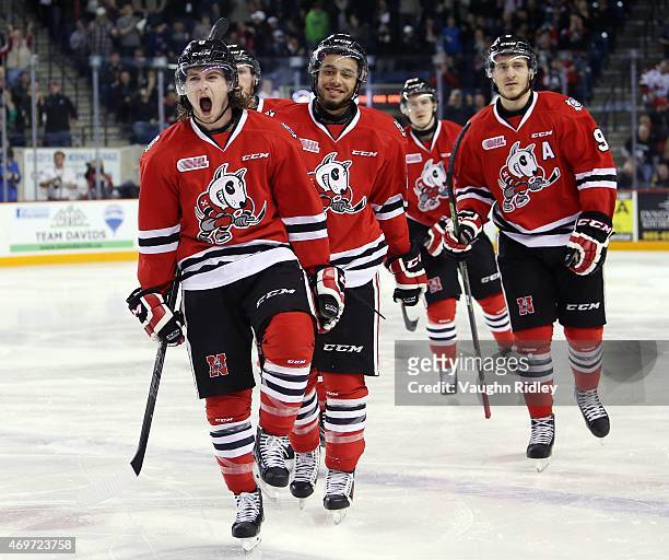 Billy Jenkins of the Niagara IceDogs celebrates a goal during Game 3 of the Eastern Conference Semi-Finals against the Oshawa Generals at the...