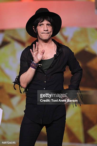 Singer Nicolas Sirkis from 'INDOCHINE' performs during the 'Les Victoires de la musique 2014' ceremony at Le Zenith on February 14, 2014 in Paris,...