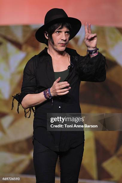 Singer Nicolas Sirkis from 'INDOCHINE' performs during the 'Les Victoires de la musique 2014' ceremony at Le Zenith on February 14, 2014 in Paris,...