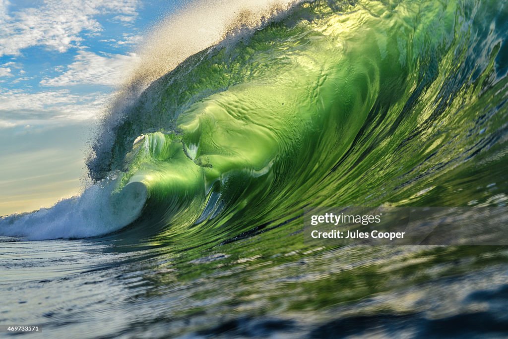 Backlit Wave