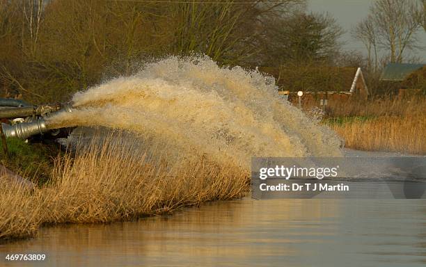 uk under water - piana del somerset foto e immagini stock