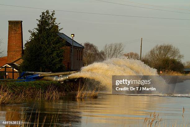 uk under water - piana del somerset foto e immagini stock