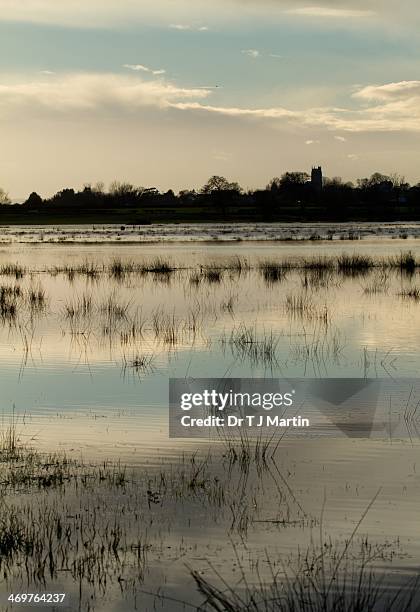 uk under water - piana del somerset foto e immagini stock