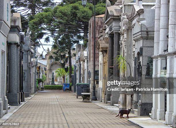 la recoleta cemetery - la recoleta stock pictures, royalty-free photos & images