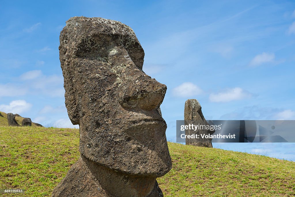 Big moai face