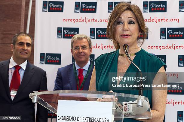 Ana Rosa Quintana receives Picota del Jerte 2015 Award on April 14, 2015 in Madrid, Spain.