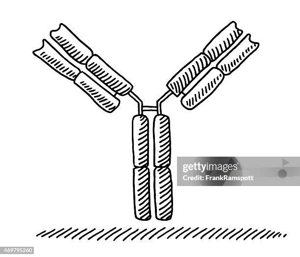 ilustraciones, imágenes clip art, dibujos animados e iconos de stock de anticuerpo medical dibujo - anticuerpo