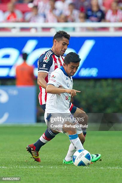 Patricio Araujo of Chivas fights for the ball with Christian Bermudez of Queretaro during a match between Chivas and Queretaro as part of the...