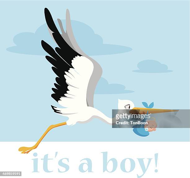 stockillustraties, clipart, cartoons en iconen met stork delivering a baby boy - pasgeborene