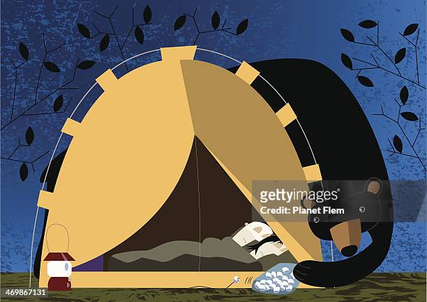 night at the campground - dome tent stock illustrations