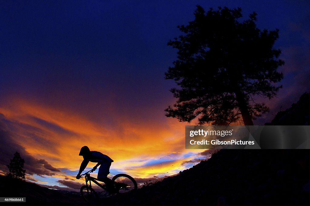 Downhill Mountain Biker