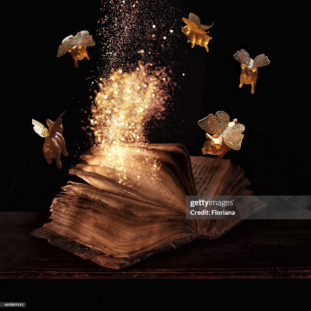 Witch book