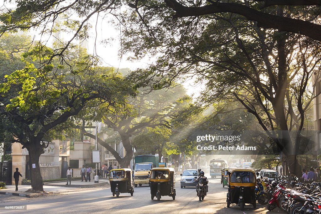 Auto Rickshaws, Tree Lined Street, Bangalore