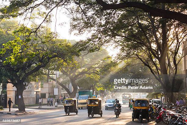 auto rickshaws, tree lined street, bangalore - bangalore 個照片及圖片檔