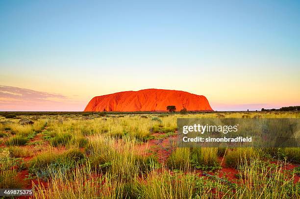 uluru dusk, northern territory australia - uluru rock stock pictures, royalty-free photos & images