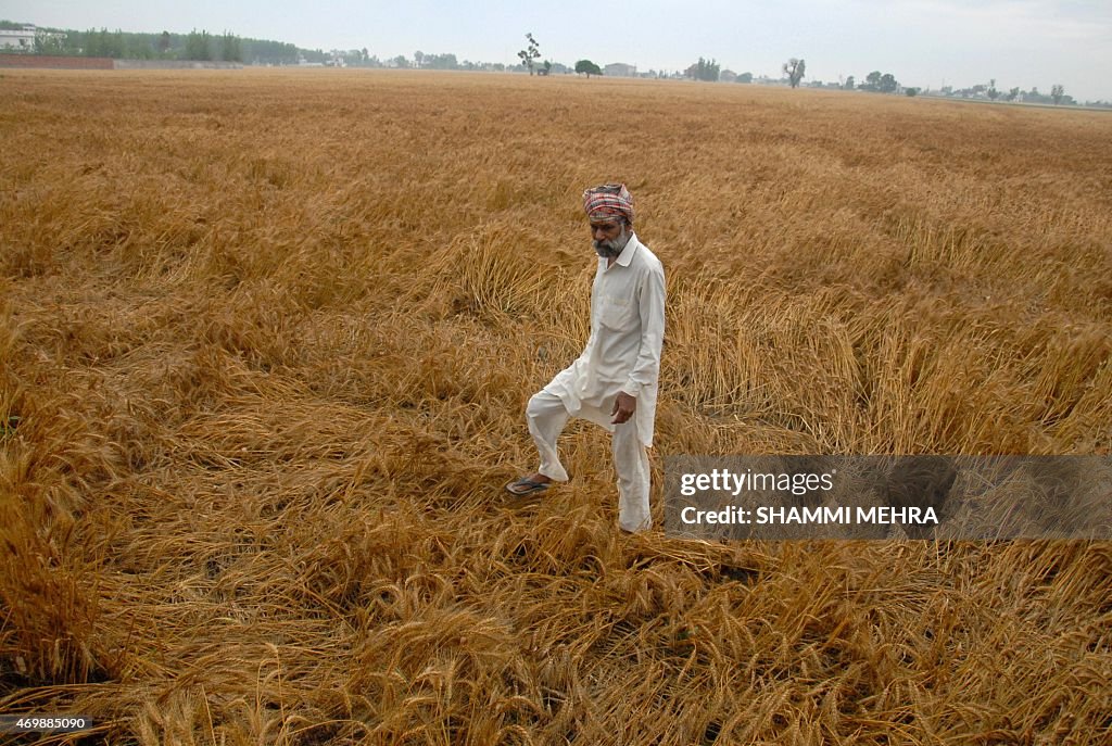 INDIA-AGRICULTURE-DAMAGE