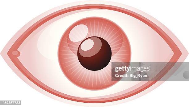 51 Ilustraciones de Conjuntivitis - Getty Images 51 Ilustraciones de Conjuntivitis - Getty Images
