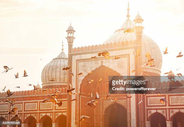 jama masjid a vecchia delhi, india - moschea foto e immagini stock