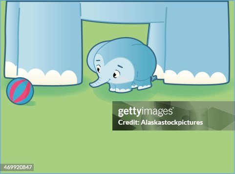 Cute small Elephant. Cute small Elephant.