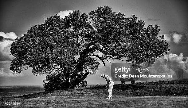 Ulrich van den Berg of South Africa putts on the 12th green during the Final Round of the Africa Open at East London Golf Club on February 16, 2014...