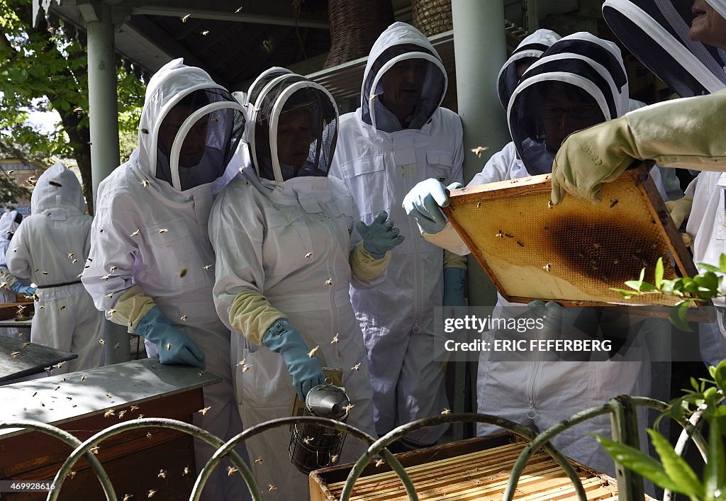 FRANCE-APICULTURE-URBAN-BEEKEEPING