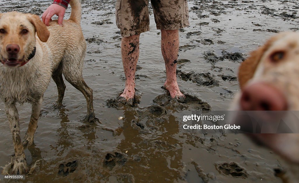 Mud In Your Eye