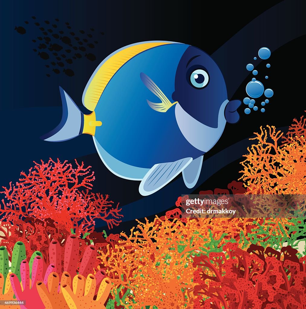 BLUE SURGEONFISH