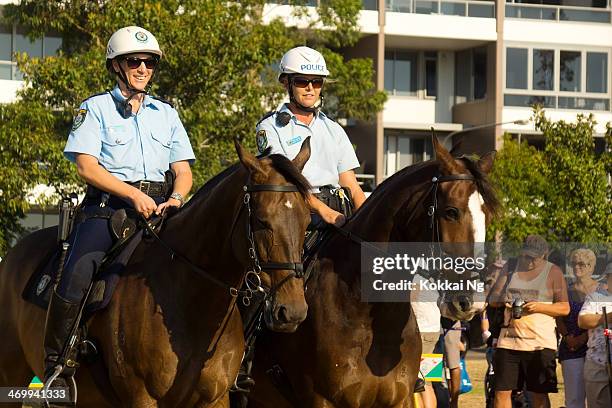 mounted police unit - australia police stock-fotos und bilder