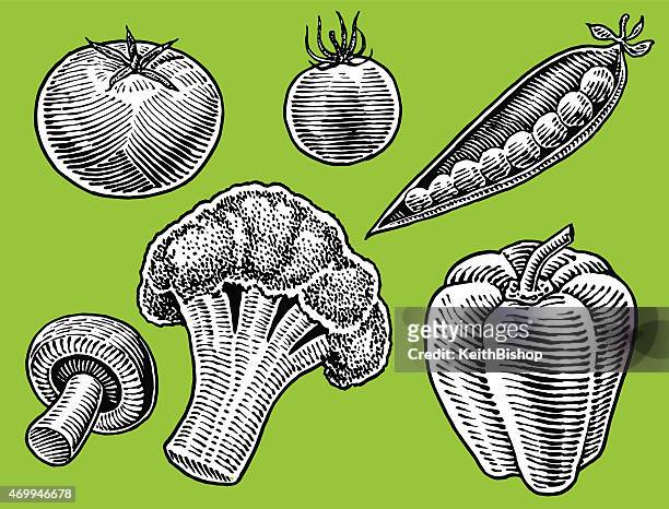 ilustrações de stock, clip art, desenhos animados e ícones de produtos hortícolas de pimentão verde, tomate, cogumelo e brócolos - pimentão verde