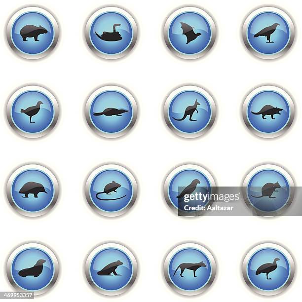 blue icons - tasmanian animals - australian wombats stock illustrations