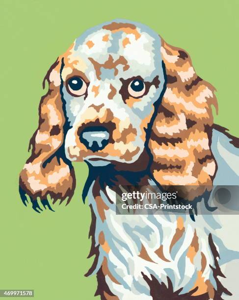 dog - spaniel stock illustrations