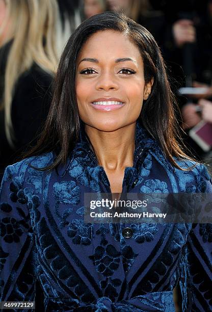 Naomie Harris attends the Burberry Prorsum show at London Fashion Week AW14 at Kensington Gardens on February 17, 2014 in London, England.