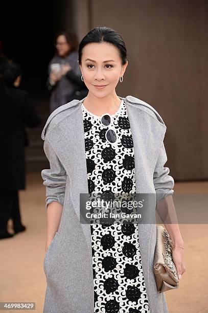 Carina Lau arrives at Burberry Womenswear Autumn/Winter 2014 at Kensington Gardens on February 17, 2014 in London, England.