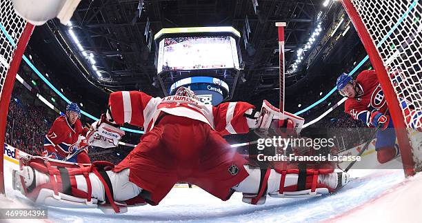 Jimmy Howard of the Detroit Red Wings defends the goal against Brian Flynn of the Montreal Canadiens in the NHL game at the Bell Centre on April 9,...