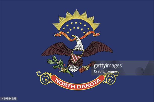 stockillustraties, clipart, cartoons en iconen met flag of north dakota - north dakota