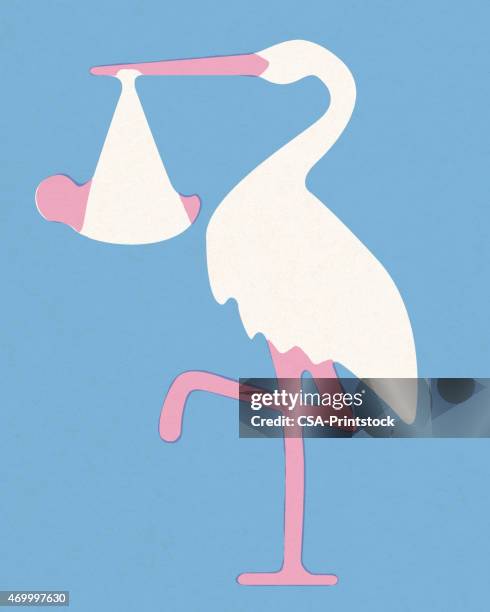 stork with baby - stork stock illustrations