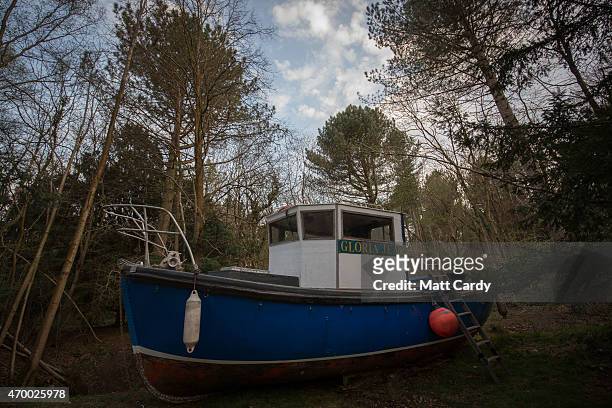 Abandoned fishing boats that are part of a new art installation, Withdrawn, which opens to the public tomorrow are seen in the woods as the evening...